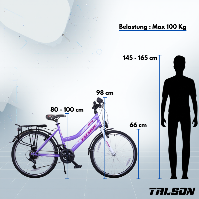 Preview: 26 Zoll Citybike mit StVZO Zubehör und 21 Gang Shimano Schaltung Lila