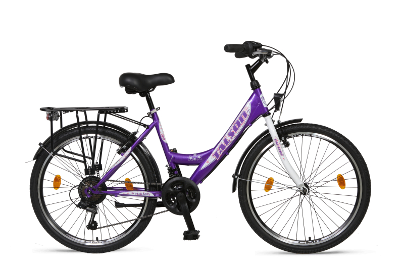 24 Zoll Citybike mit StVZO Zubehör und 21 Gang Shimano Schaltung 791 Lila