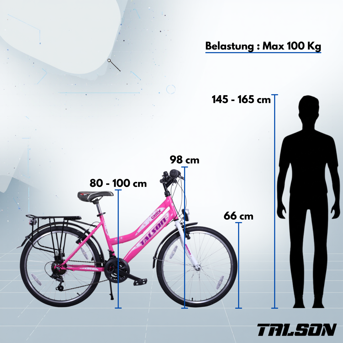 26 Zoll Citybike mit StVZO Zubehör und 21 Gang Shimano Schaltung Rosa