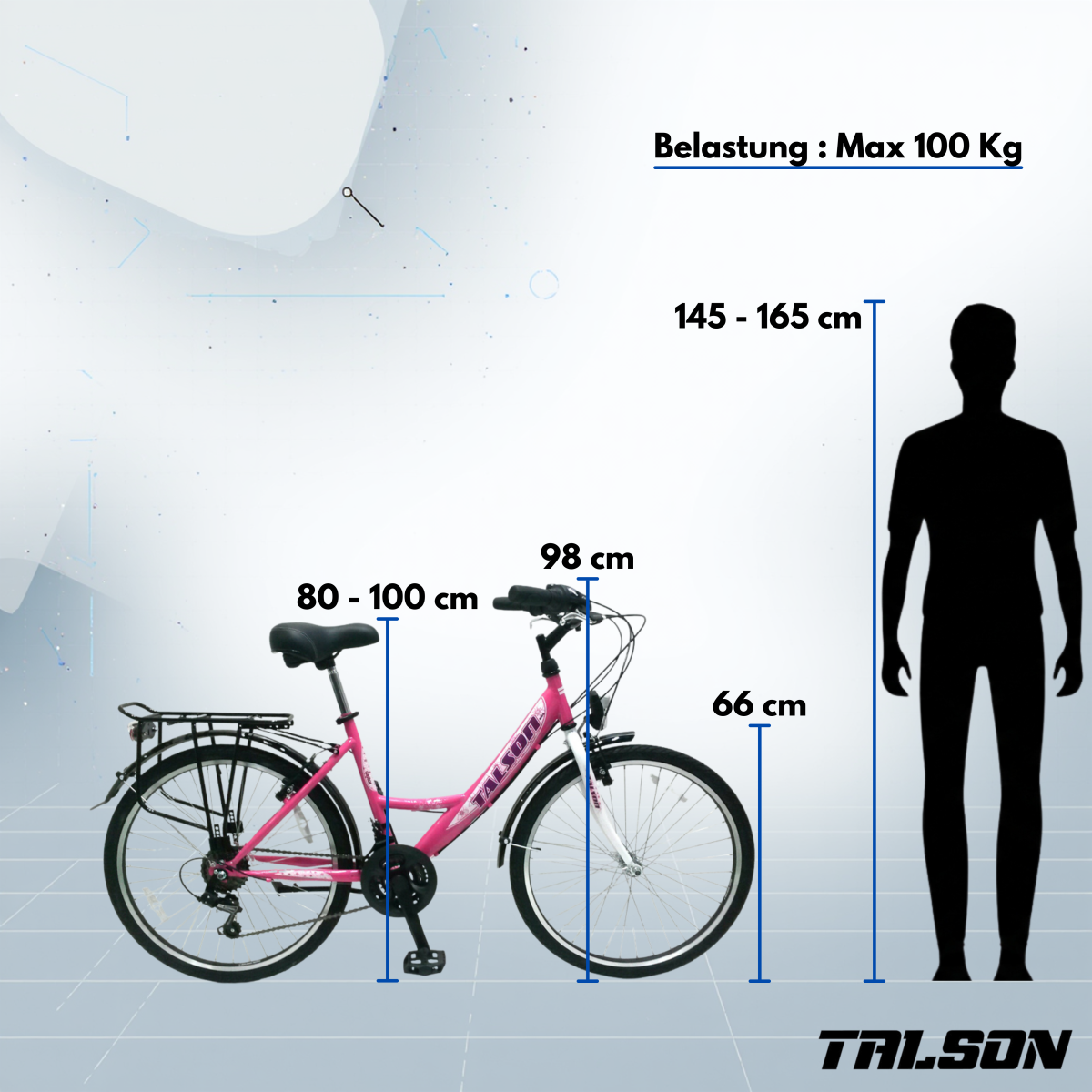 26 Zoll Citybike mit StVZO Zubehör und 21 Gang Shimano Schaltung 791 Rosa